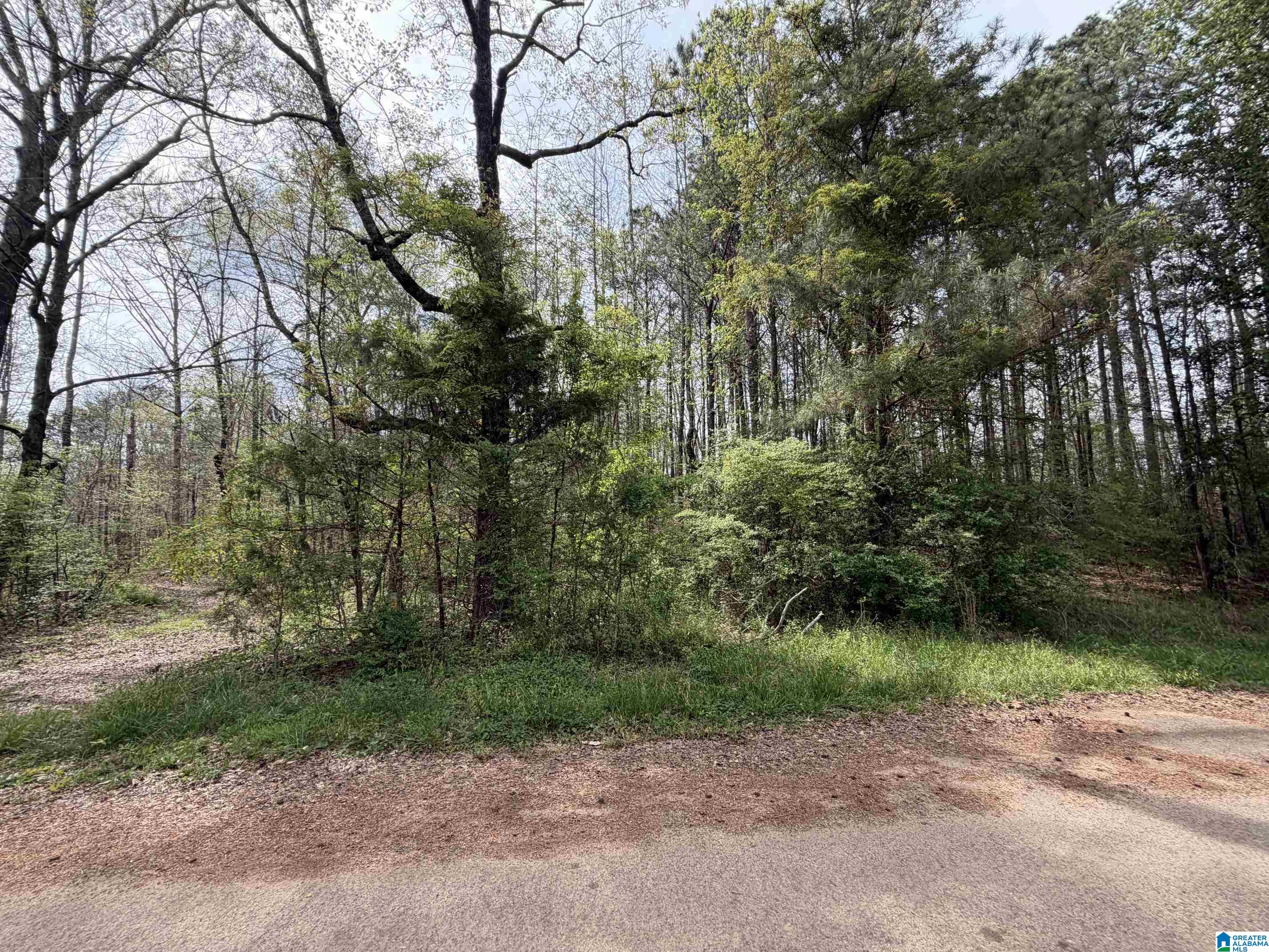 0 James Lake Road, Unit 1 Trussville, AL 35173 - Photo 2 of 18