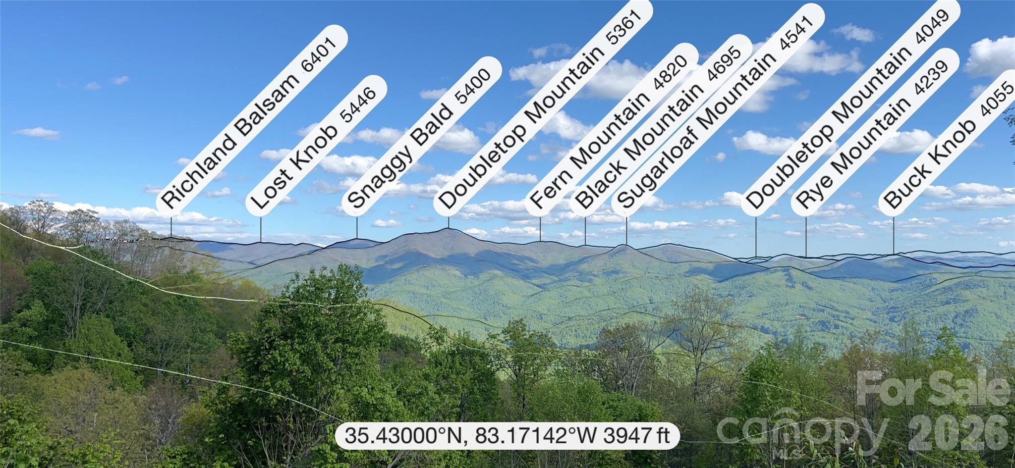 3409 Parris Branch Road Sylva, NC 28779 - Photo 14 of 19