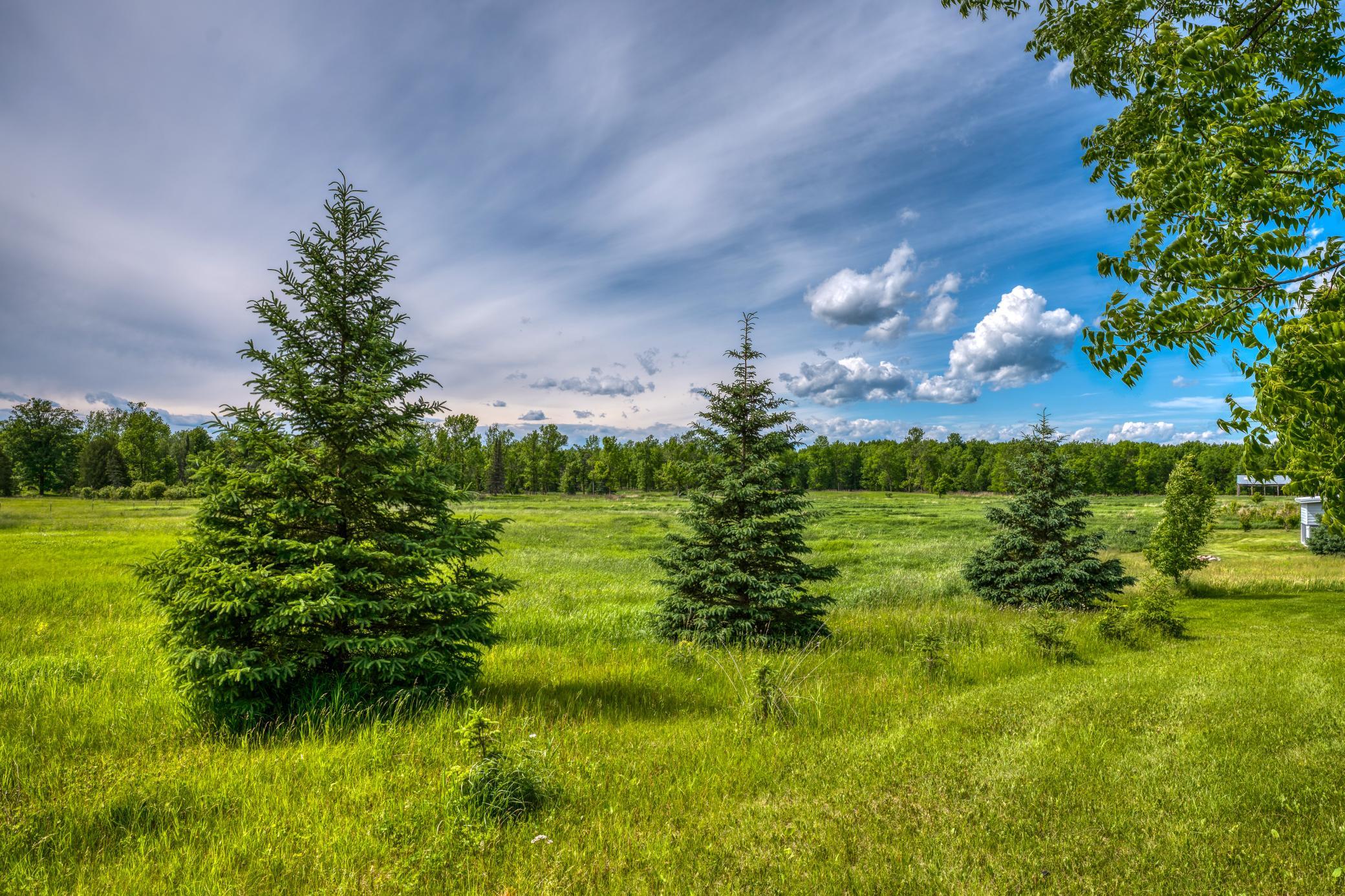 Tbd Lindgren Road Northeast Puposky, MN 56667 - Photo 49 of 54