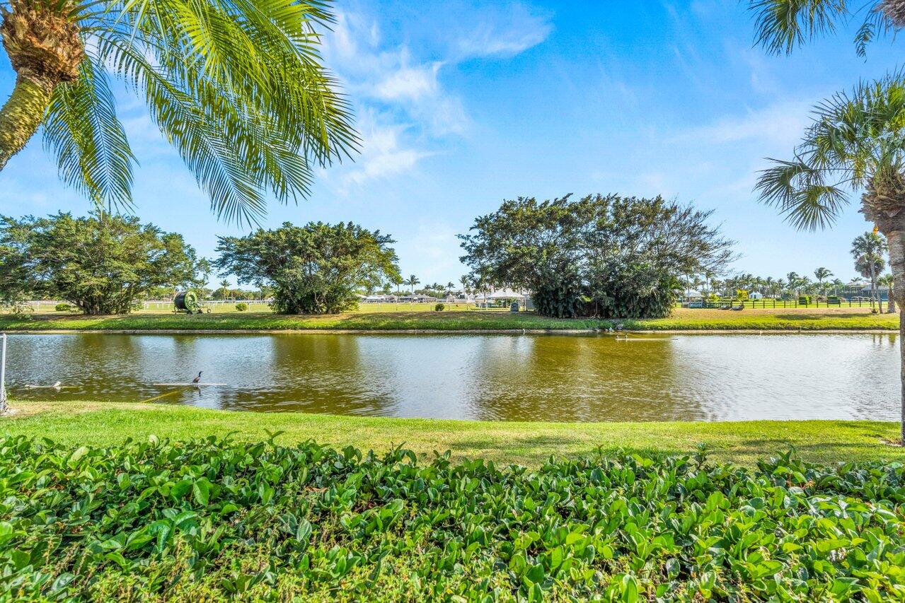 13329 Polo Club Road, Unit 106 Wellington, FL 33414 - Photo 45 of 47 View from the pool area