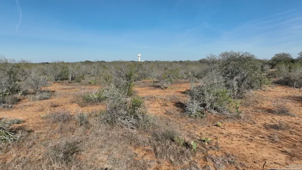 a view of a dry field with trees in the background