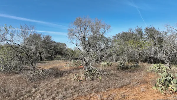 a view of a dry yard with trees in the background
