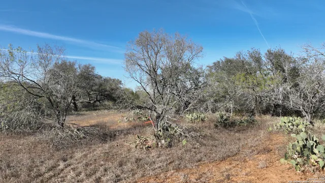 $159,000 | 1 Cr 307, Jourdanton, TX 78026