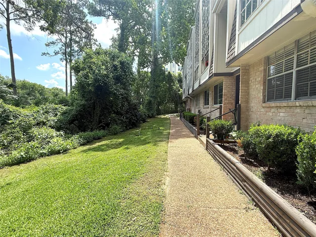 a view of backyard with potted plants