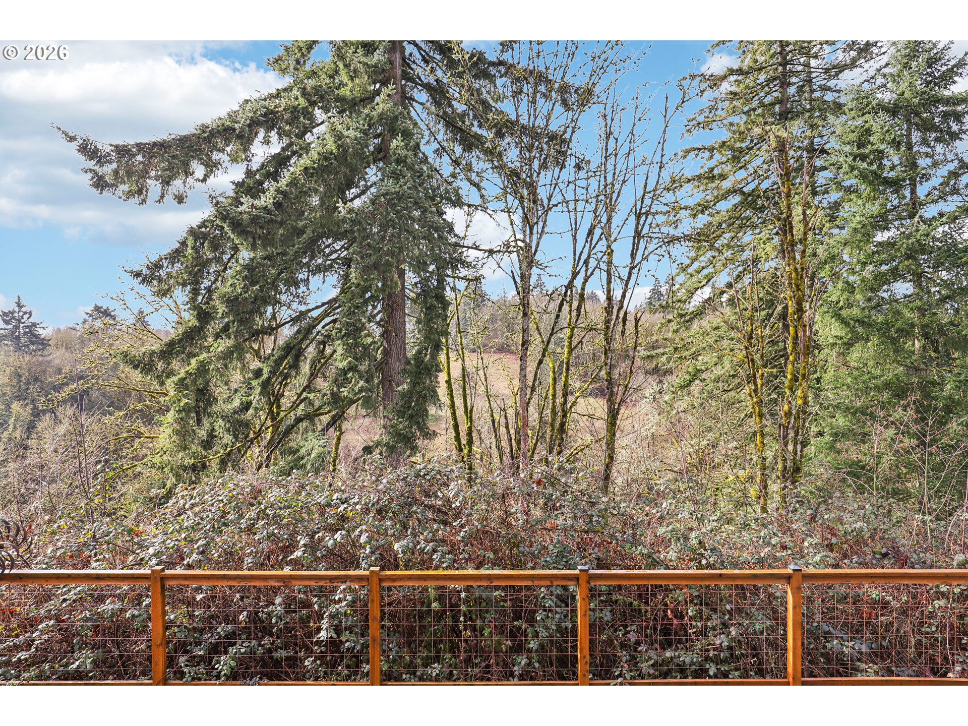 35510 Portland View Drive St. Helens, OR 97051 - Photo 29 of 35