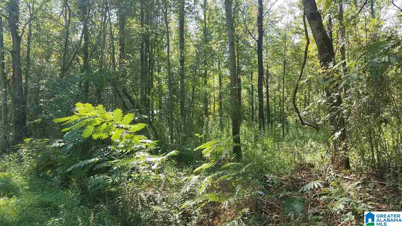 0 Pine Mountain Road, Unit 6 Odenville, AL 35120 - Photo 2 of 7