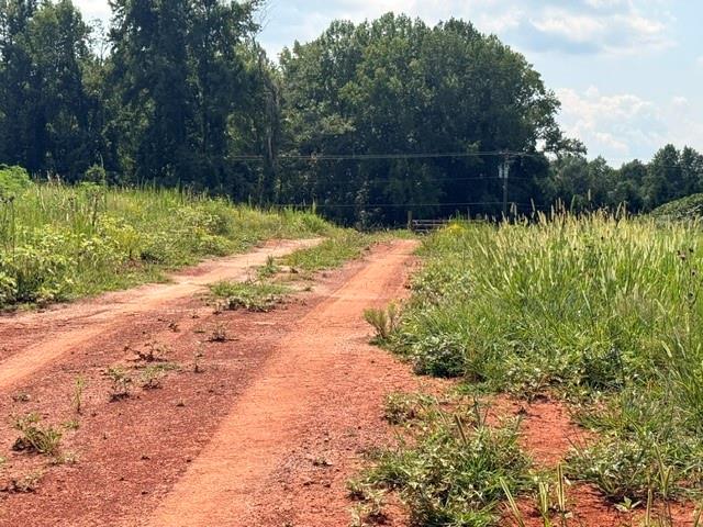 0 Rainey Road Temple, GA 30179 - Photo 11 of 31 Gallery Image 11