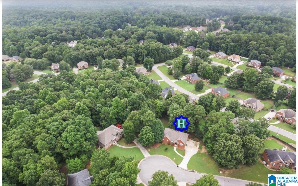107 Magnolia Ridge Circle Chelsea, AL 35043 - Photo 15 of 17