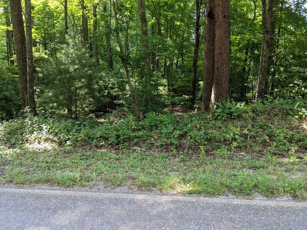 $79,000 | 3.84-ac Matheson Cove Road, Hayesville, NC 28904