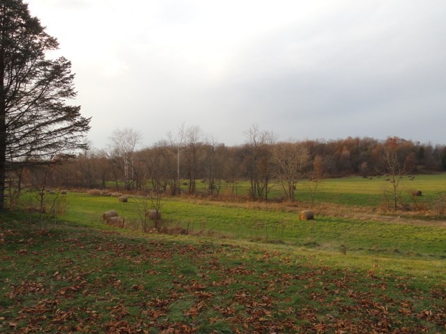7815 Switchboard Road Spencer, IN 47460 - Photo 6 of 7 Gallery Image 6