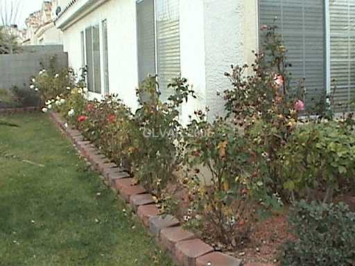 4741 Ashington Street Las Vegas, NV 89147 - Photo 7 of 8 Yard/Garden.