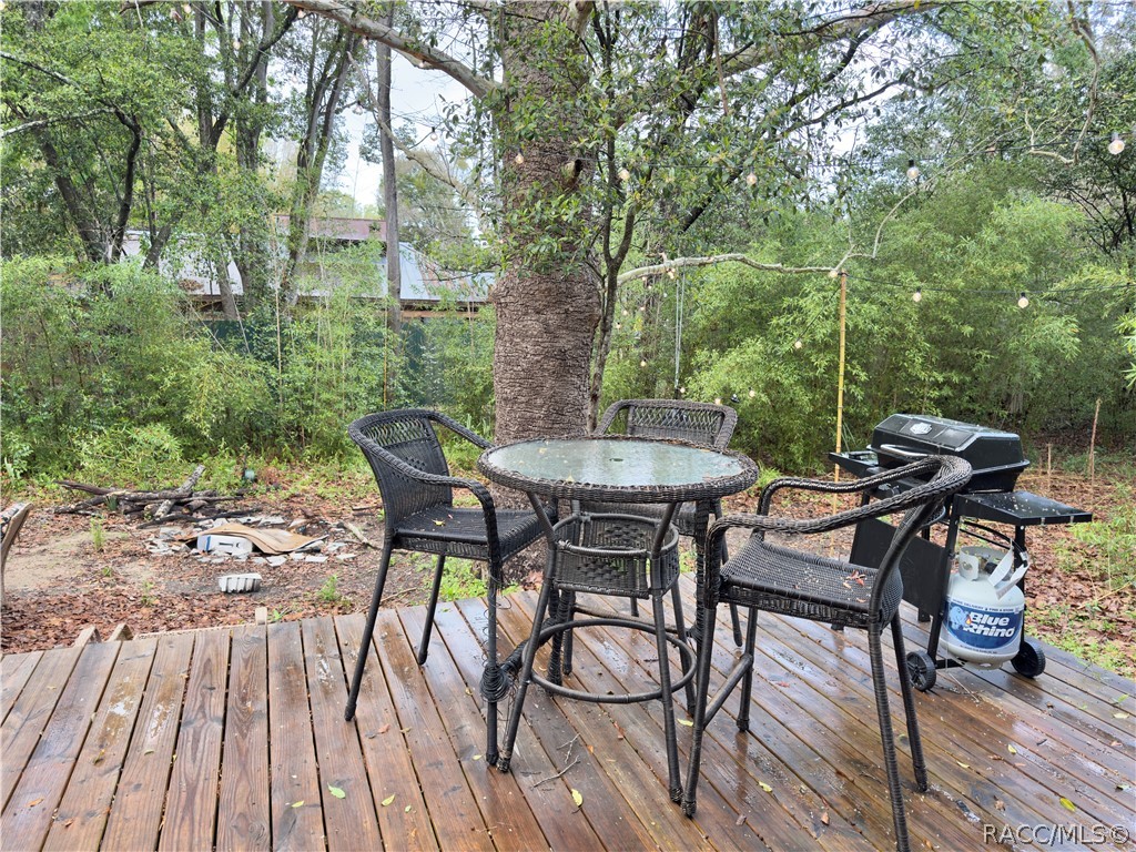 707 South Snapp Avenue Inverness, FL 34453 - Photo 32 of 36
