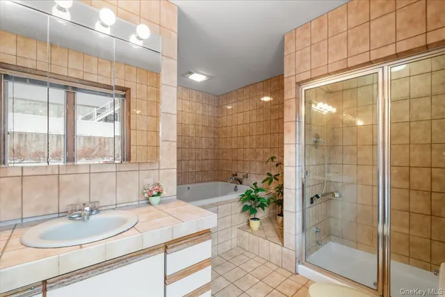 a bathroom with a granite countertop sink a shower and a mirror