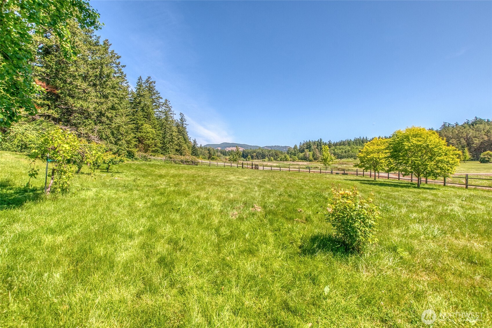 5686 Deer Harbor Road Orcas Island, WA 98243 - Photo 37 of 40