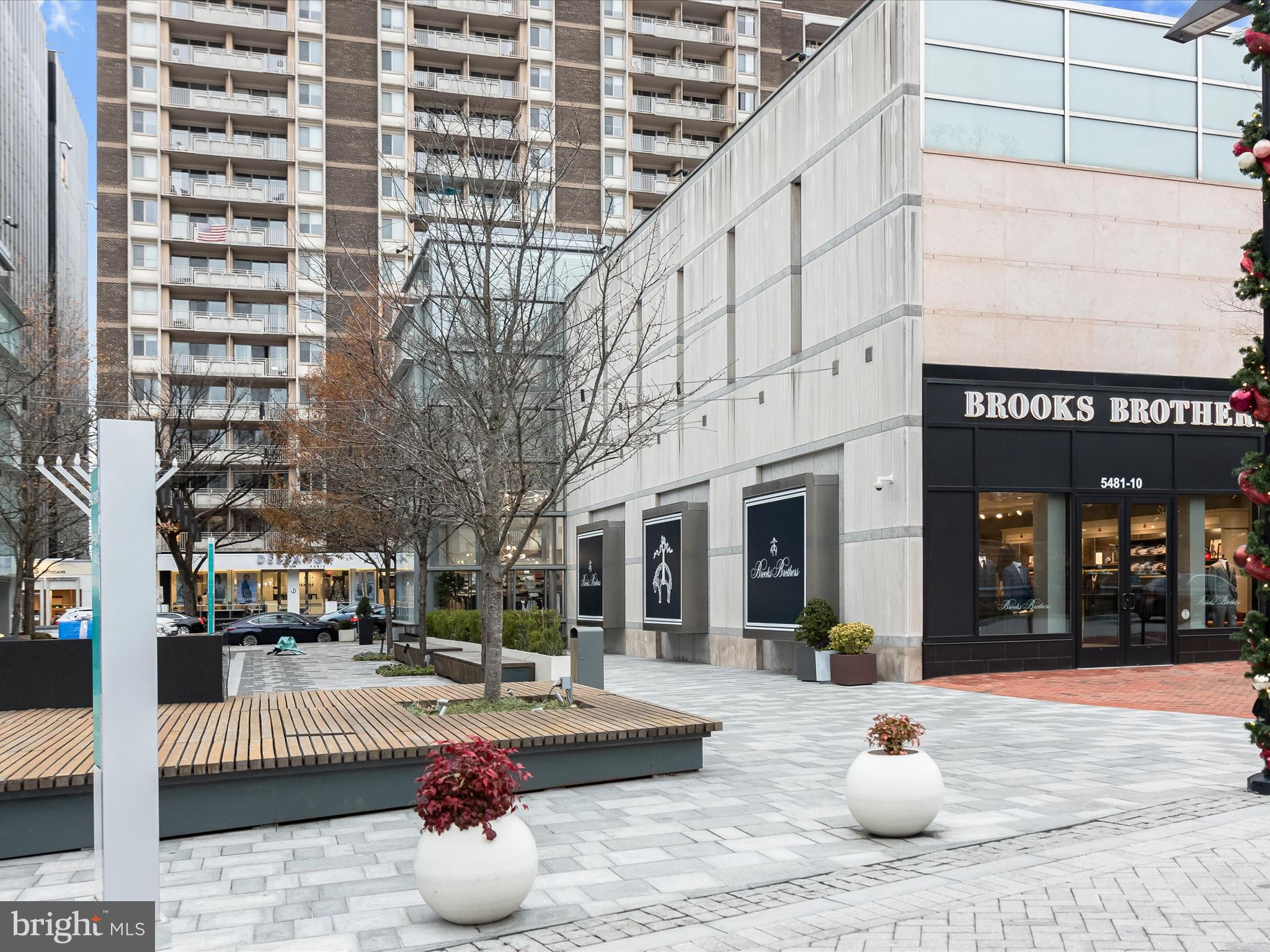 4515 Willard Avenue, Unit 607S Chevy Chase, MD 20815 - Photo 73 of 80 Local Shops