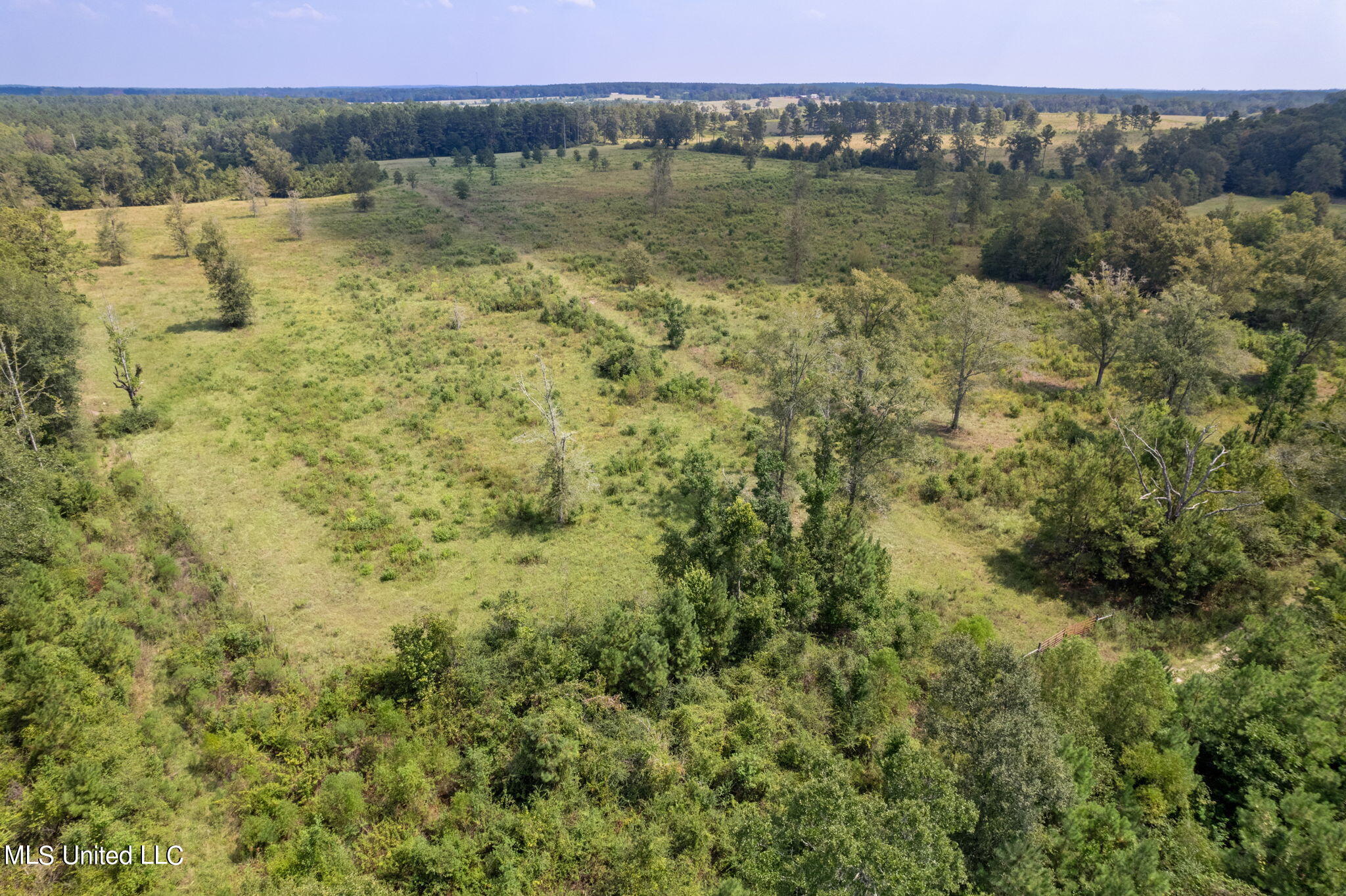603 Osborn Moody Road Poplarville, MS 39470 - Photo 65 of 72 603_Osborn_Moody_Rd-67