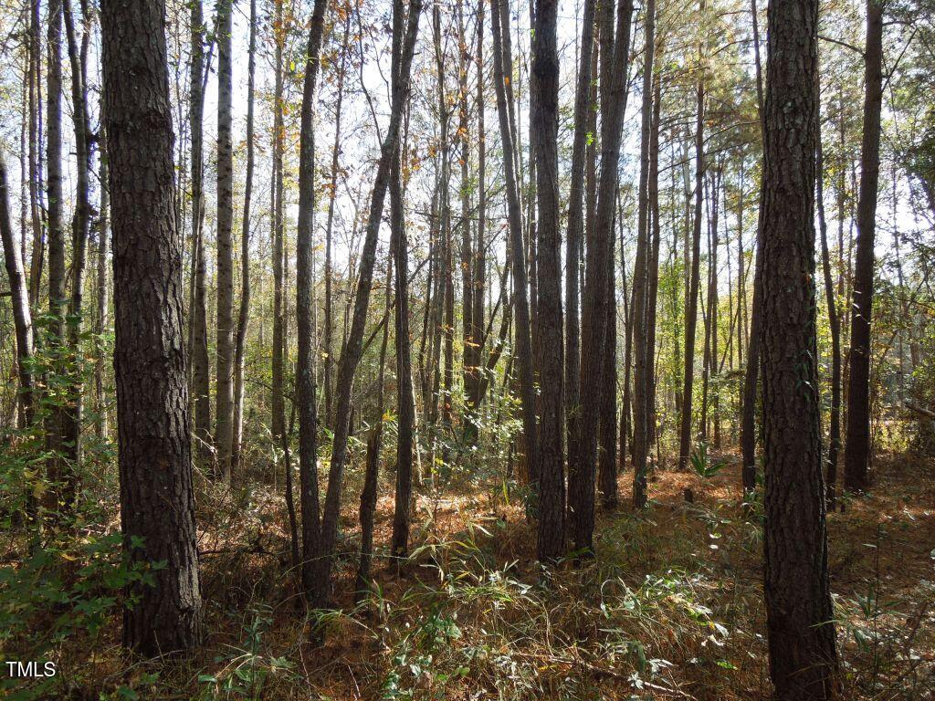 Tbd Cook Road Carthage, NC 28327 - Photo 23 of 40 DSCN0112