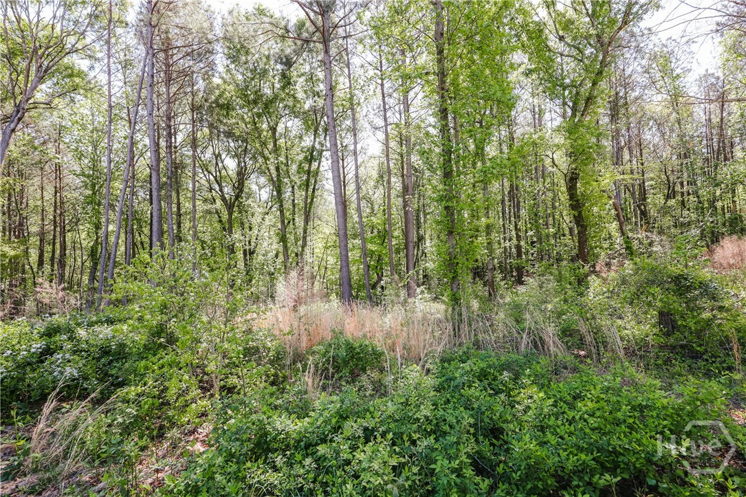 773 Shoal Creek Road Colbert, GA 30628 - Photo 36 of 37