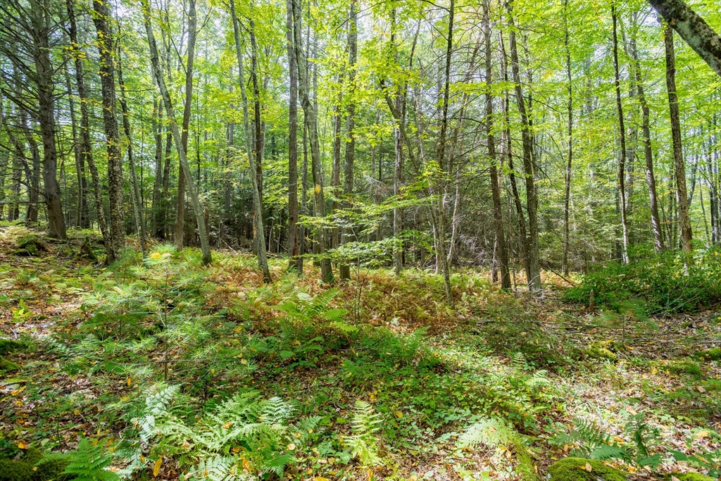 0 Riceville Road Athol, MA 01331 - Photo 12 of 15 a view of outdoor space and garden