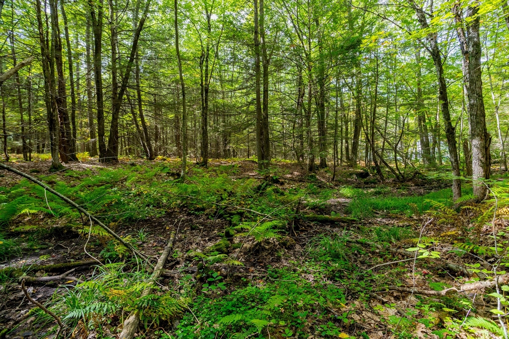 0 Riceville Road Athol, MA 01331 - Photo 13 of 15 a view of backyard with green space
