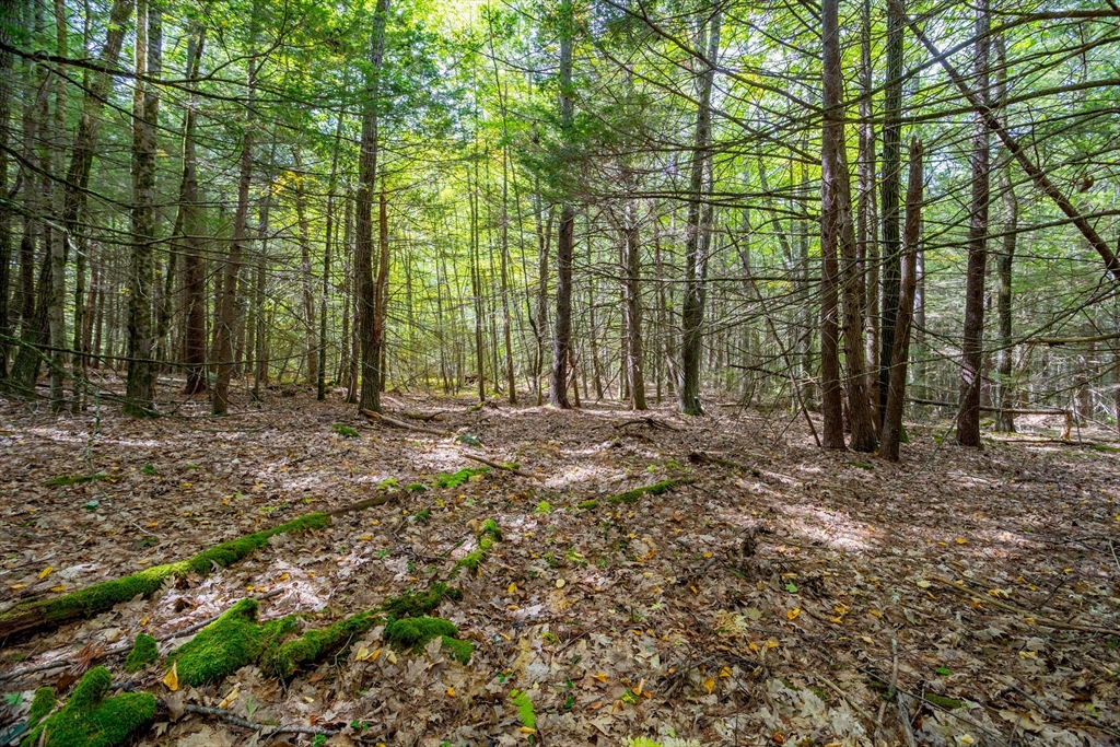 0 Riceville Road Athol, MA 01331 - Photo 14 of 15 a view of outdoor space with deck and tree