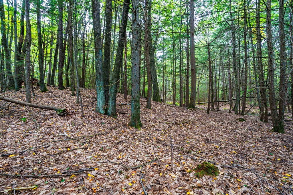 0 Riceville Road Athol, MA 01331 - Photo 15 of 15 a view of outdoor space with lots of trees