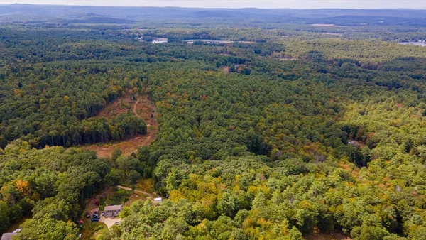 an aerial view of forest