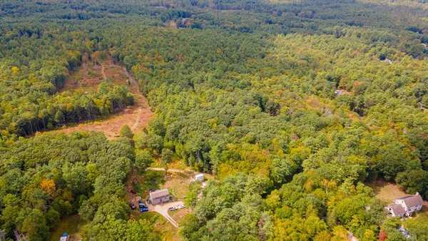 a view of a bunch of trees and bushes