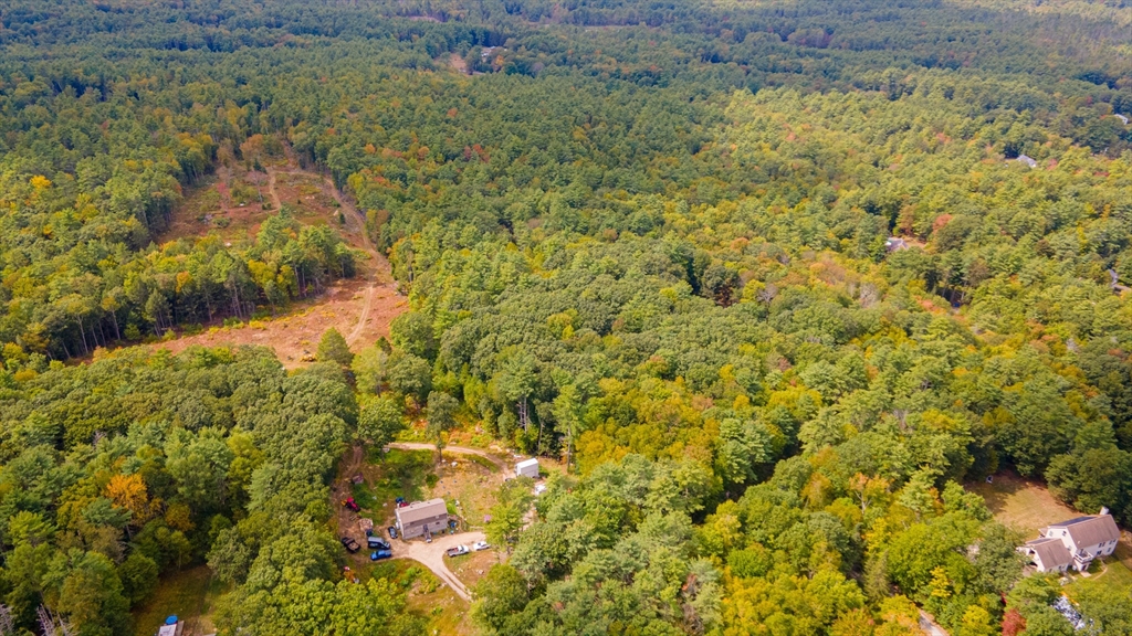 0 Riceville Road Athol, MA 01331 - Photo 4 of 15 a view of a bunch of trees and bushes