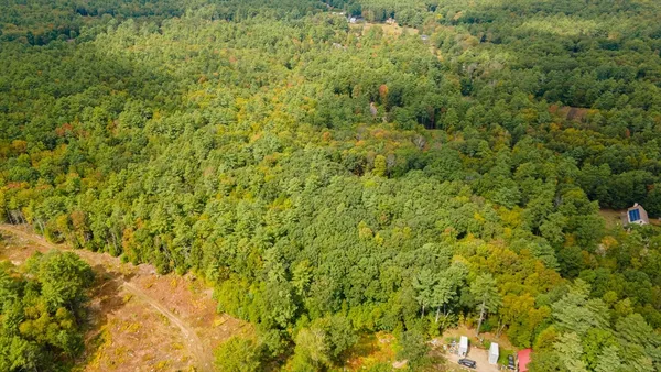 a view of a big yard with plants and large trees