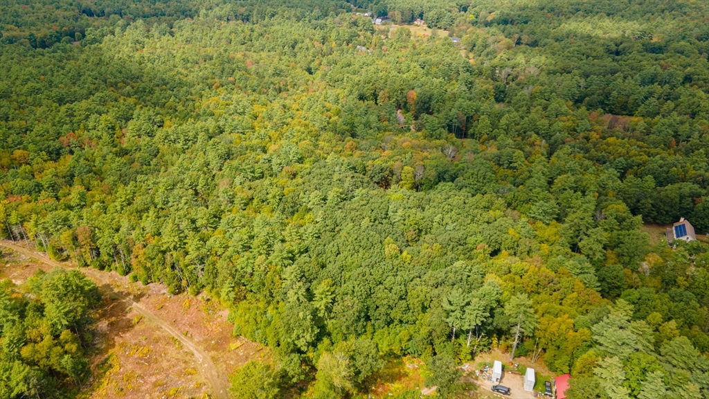 0 Riceville Road Athol, MA 01331 - Photo 5 of 15 a view of a big yard with plants and large trees