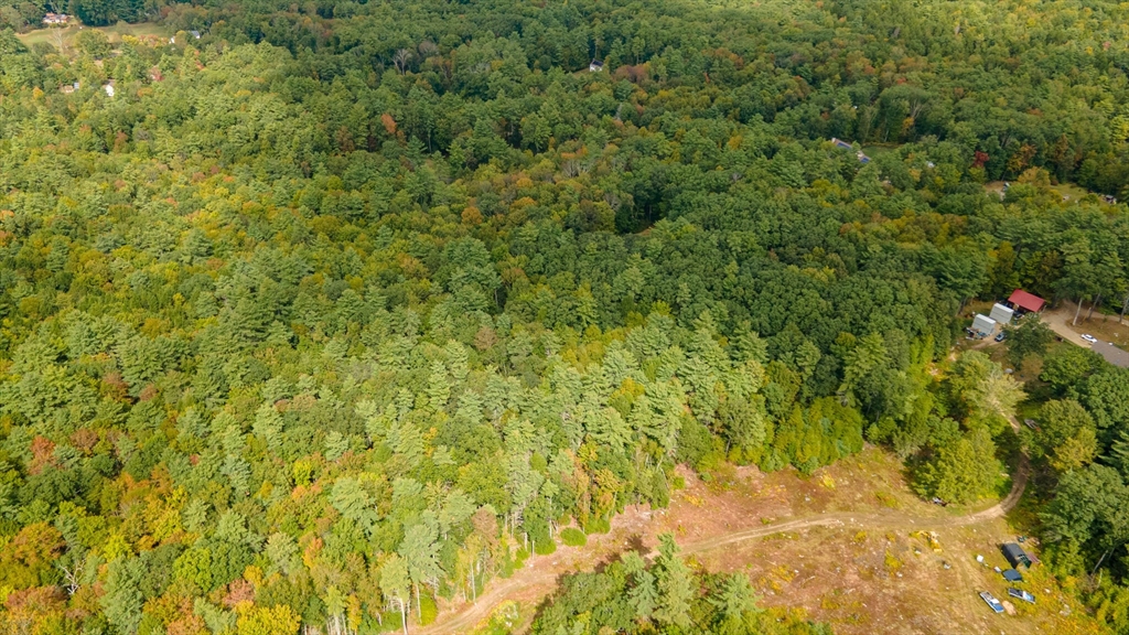 0 Riceville Road Athol, MA 01331 - Photo 6 of 15 a view of a big yard with plants and large trees