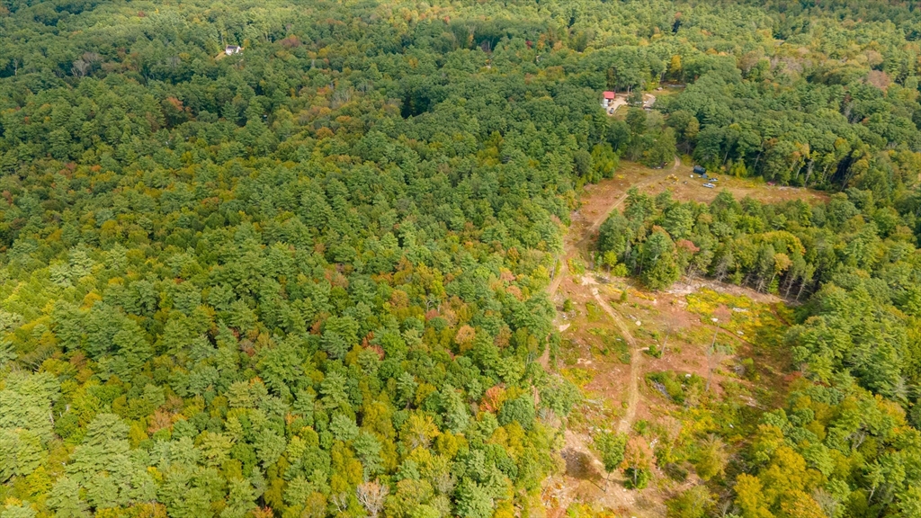 0 Riceville Road Athol, MA 01331 - Photo 7 of 15 a view of a big yard with large trees