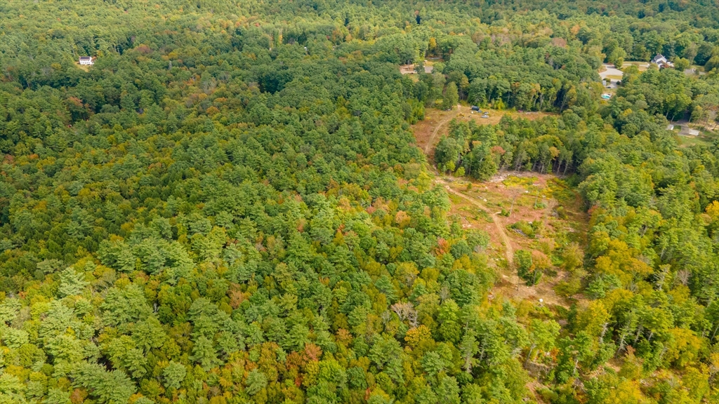 0 Riceville Road Athol, MA 01331 - Photo 8 of 15 a view of a big yard with plants and large trees
