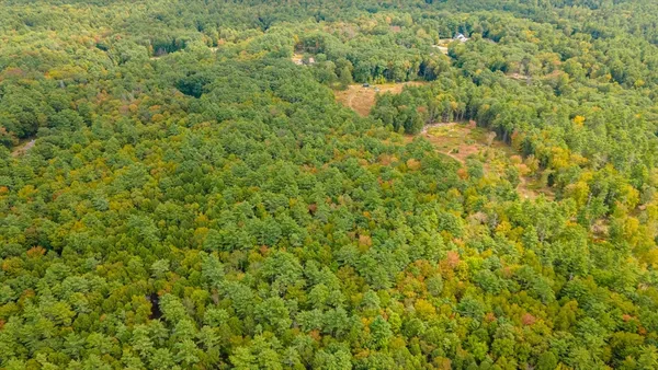 a view of a bunch of trees and bushes