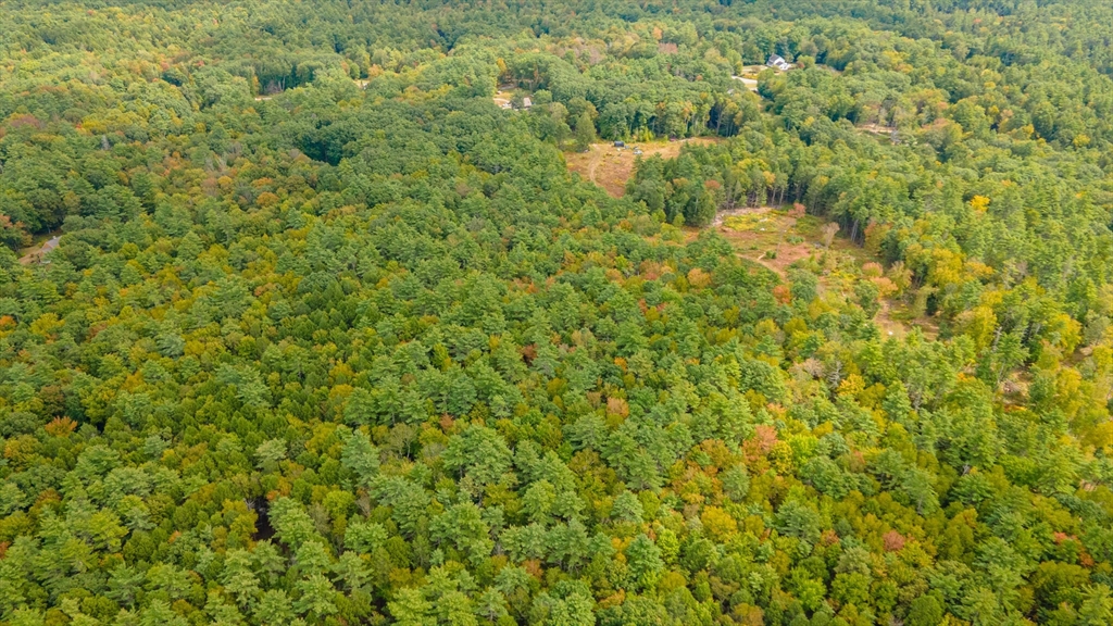 0 Riceville Road Athol, MA 01331 - Photo 10 of 15 a view of a bunch of trees and bushes