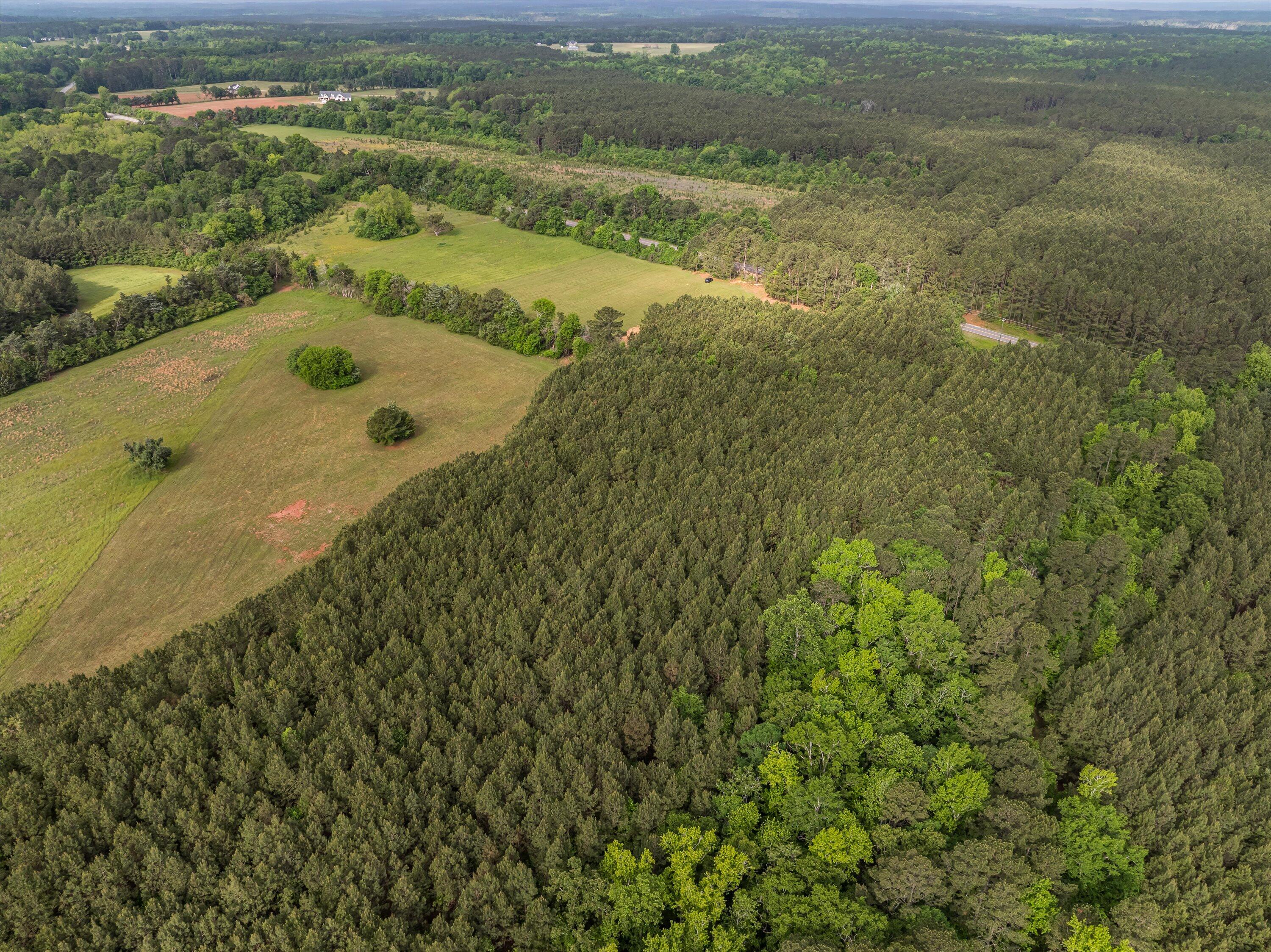 5760 Cobbham Road Appling, GA 30802 - Photo 12 of 42 25-Lot 2_13