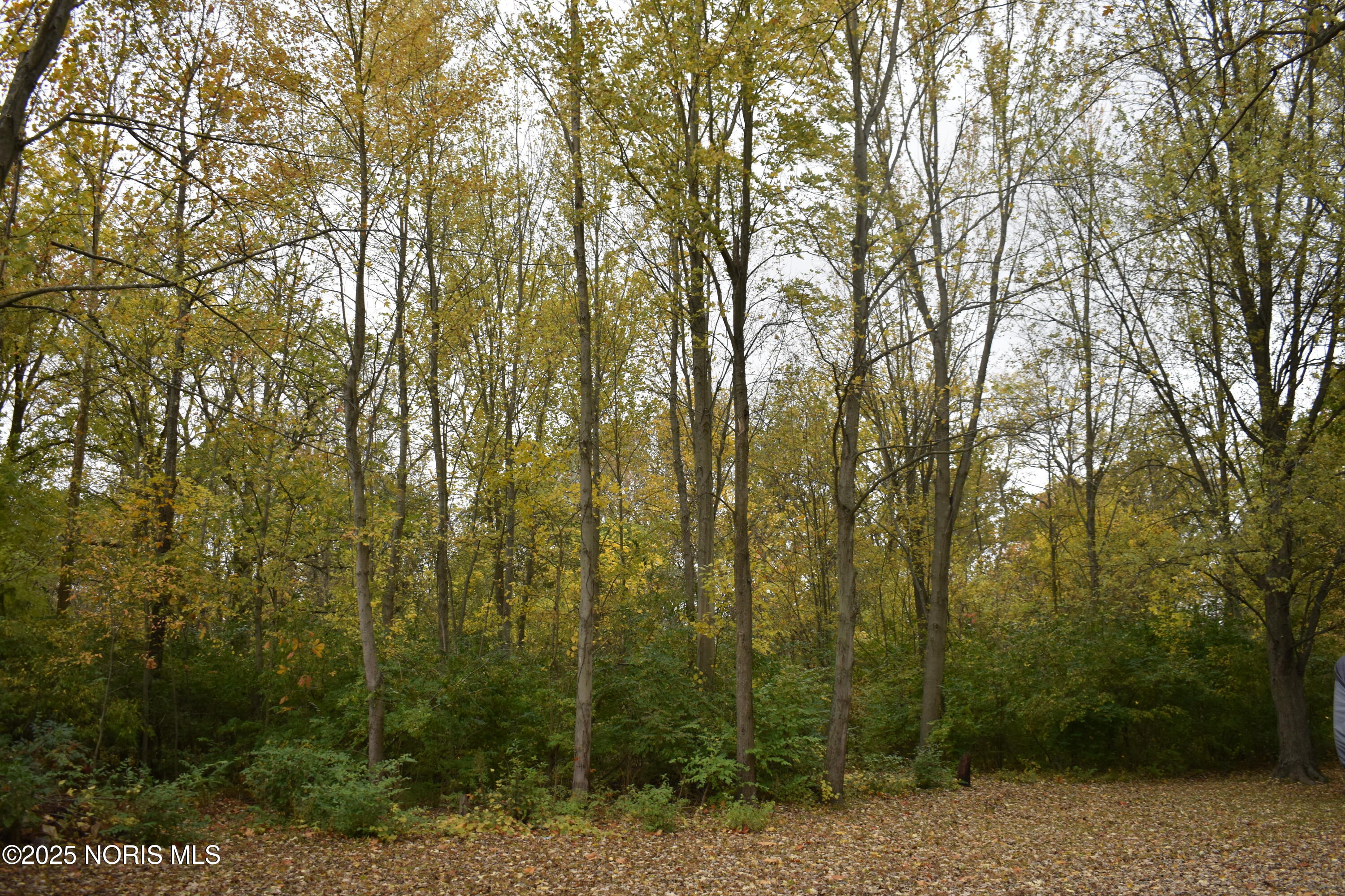 9340 Stitt Road Whitehouse, OH 43571 - Photo 50 of 50 November 20 RE (49)
