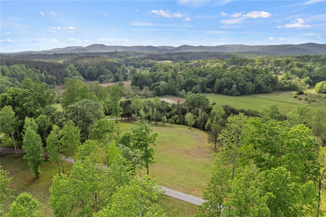 199 Leaf Shadow Lane Walhalla, SC 29691 - Photo 40 of 50