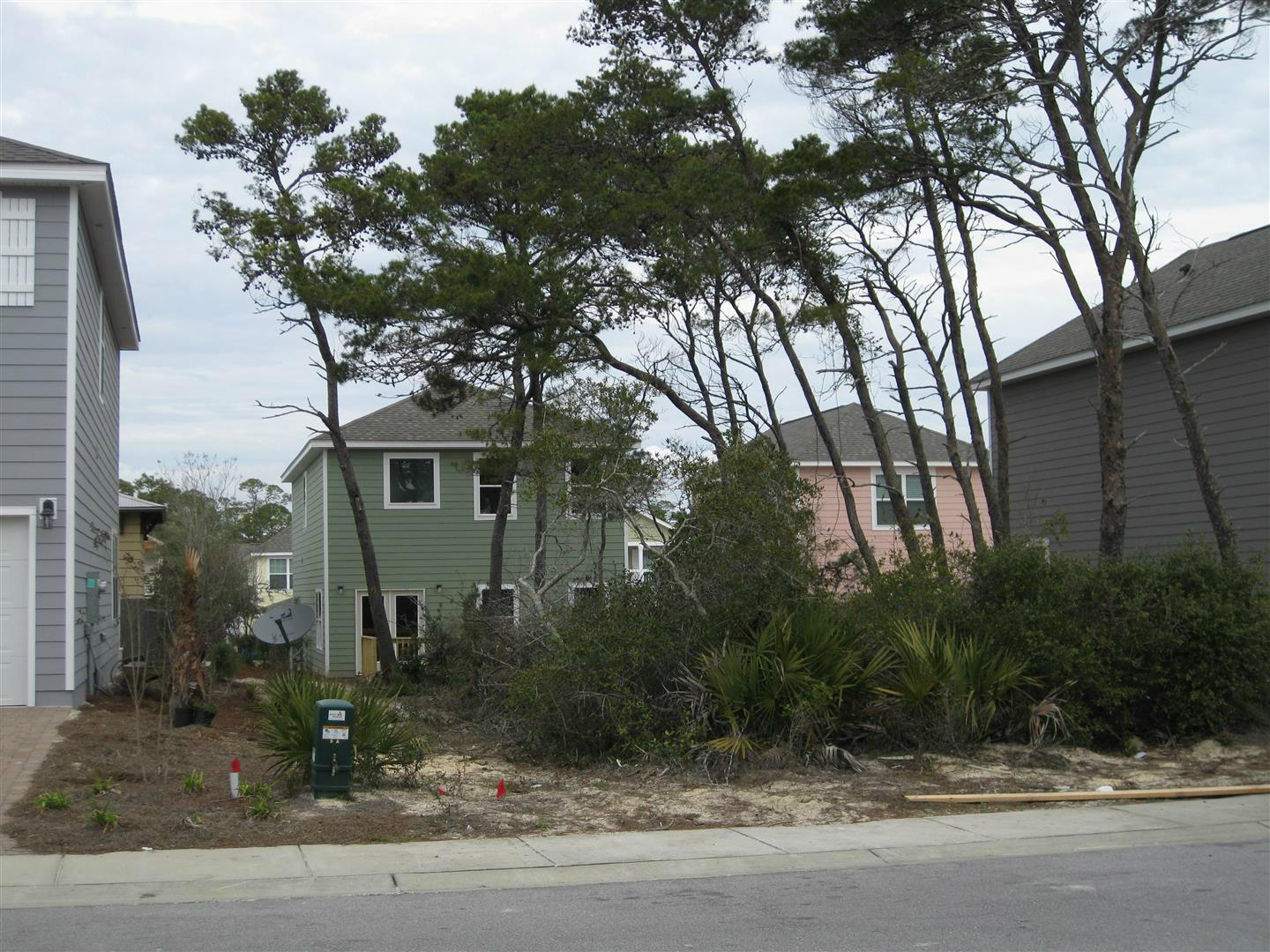 0 St Vincent Ln Inlet Beach Inlet Beach, FL 32461 - Photo 3 of 3 a view of a house with a tree