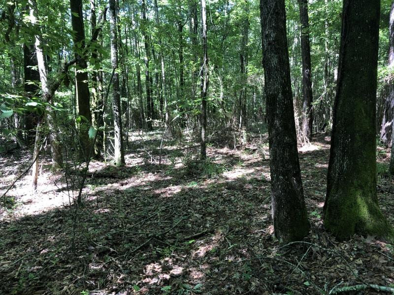 0 None Brookhaven, MS 39601 - Photo 1 of 1 Main View