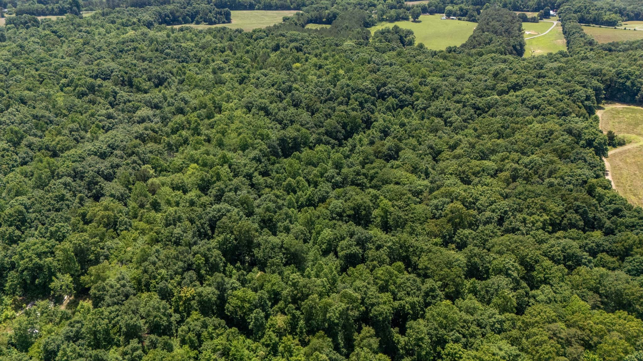 3772 Pea Ridge Road Liberty, TN 37095 - Photo 49 of 52