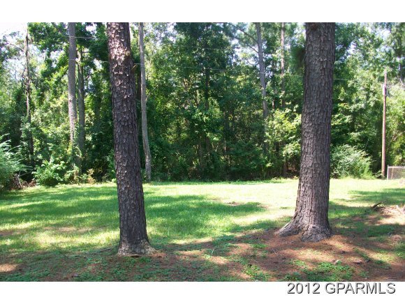 869 Lewis Store Road Farmville, NC 27828 - Photo 17 of 18 Additional Photo