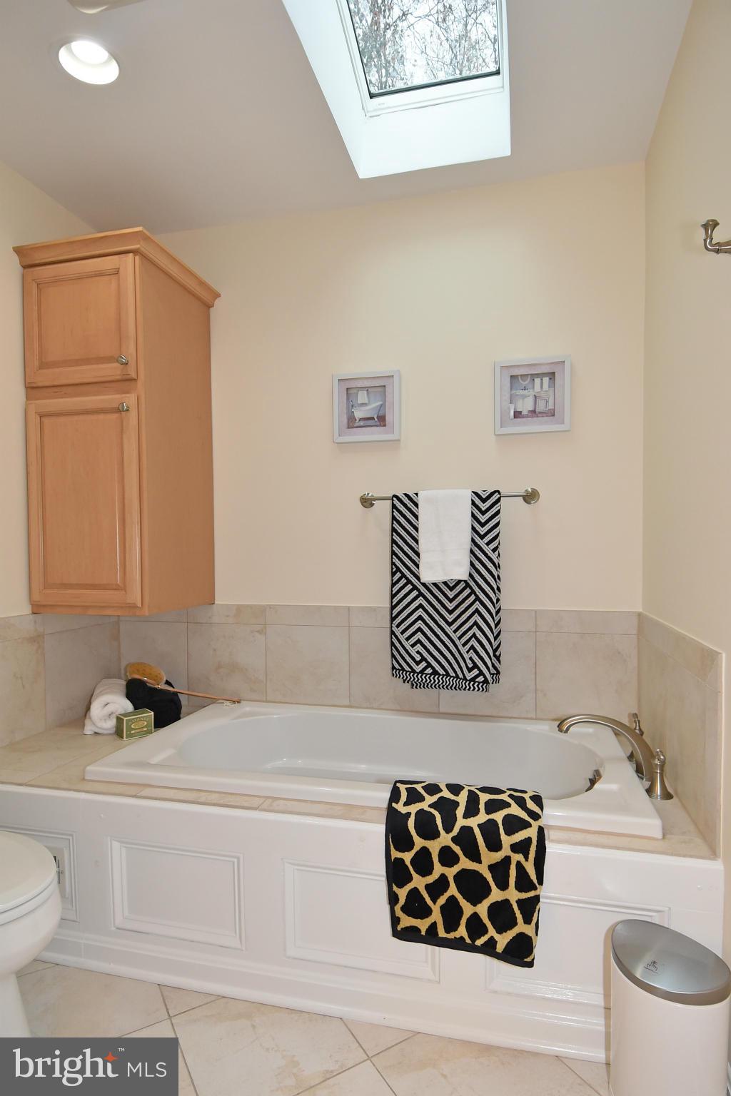 1820 Batten Hollow Road Vienna, VA 22182 - Photo 19 of 30 Bath (Master)