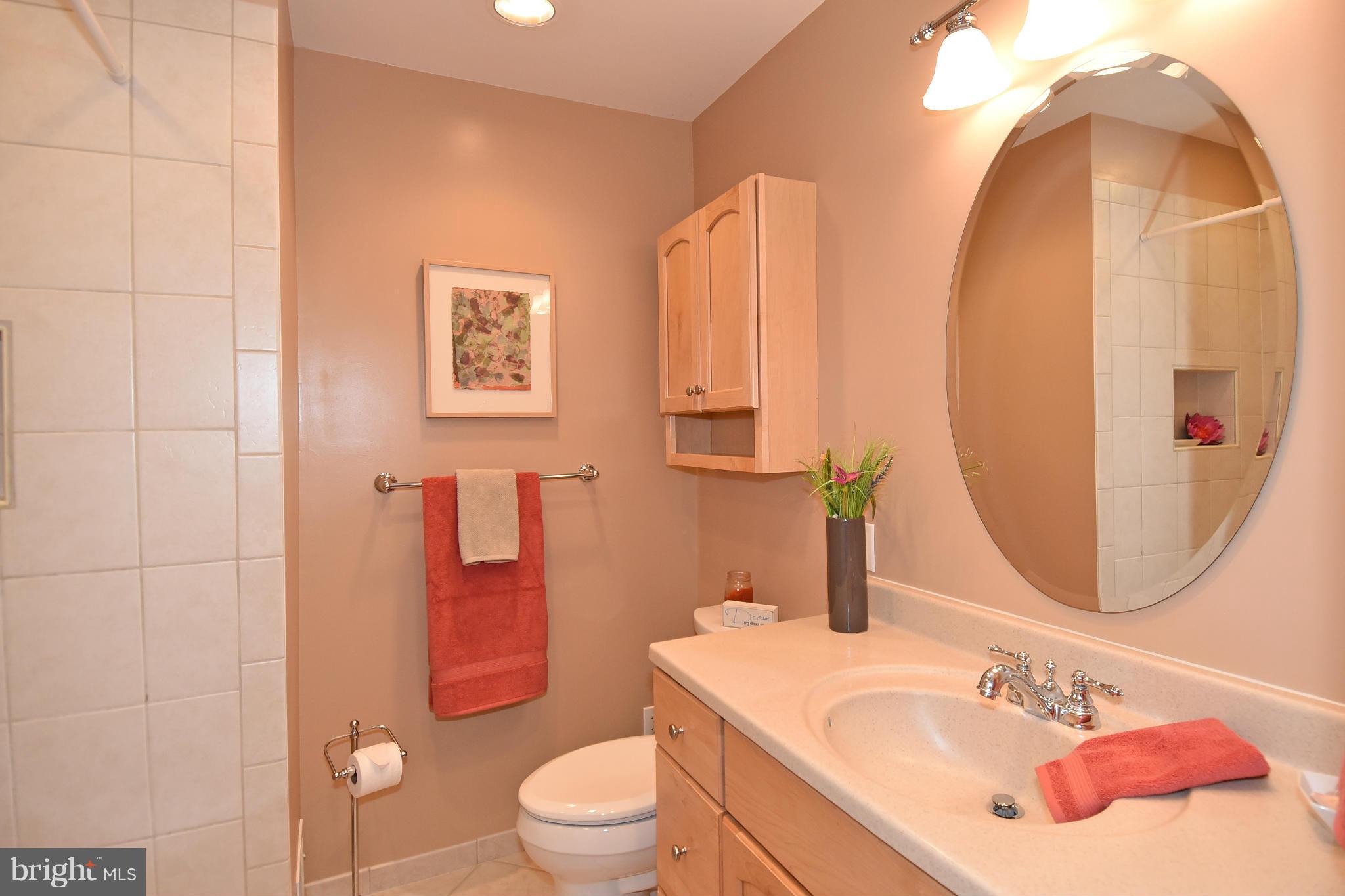 1820 Batten Hollow Road Vienna, VA 22182 - Photo 24 of 30 Bath
