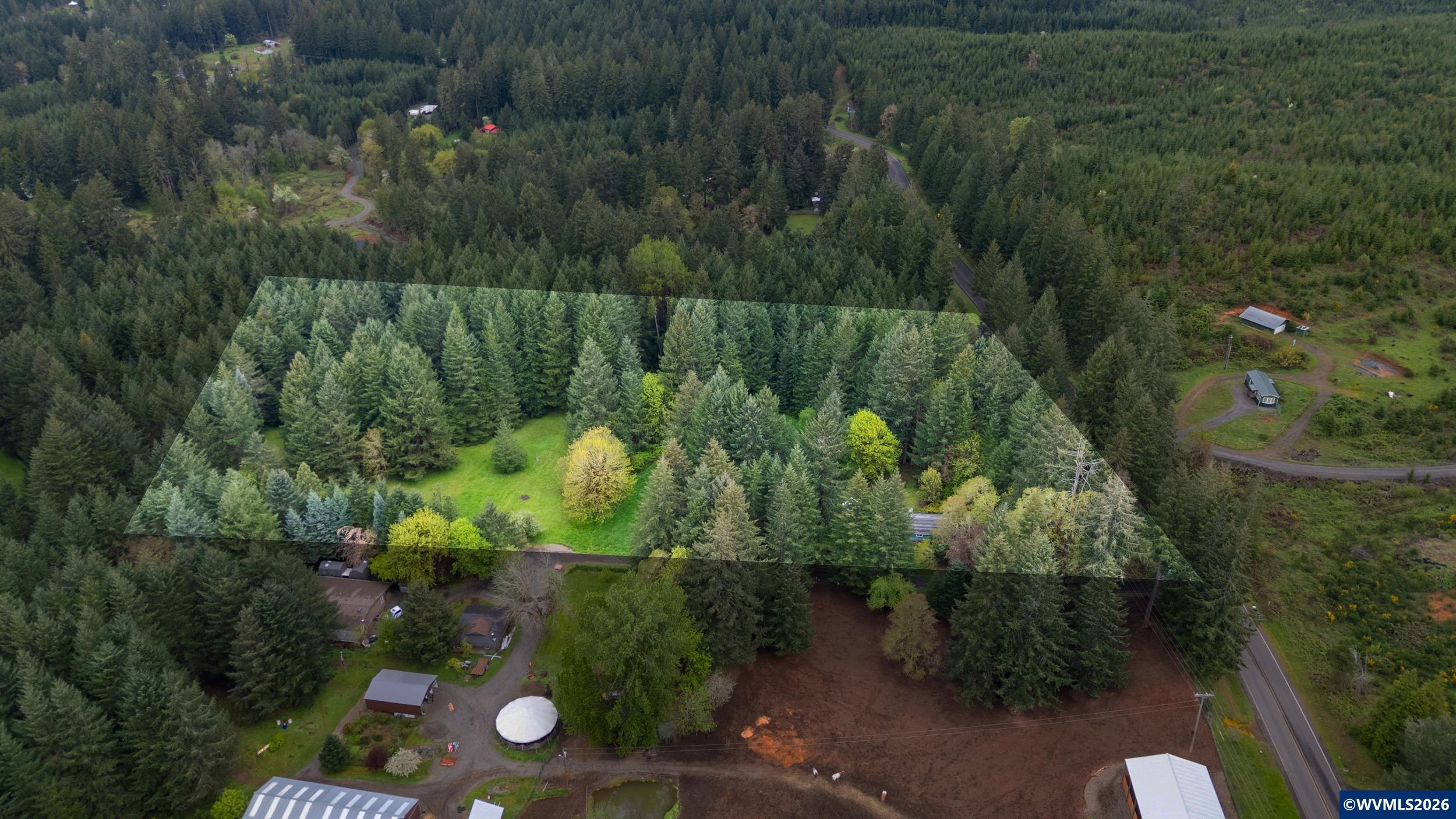 23939 Raze Road Elmira, OR 97437 - Photo 5 of 46