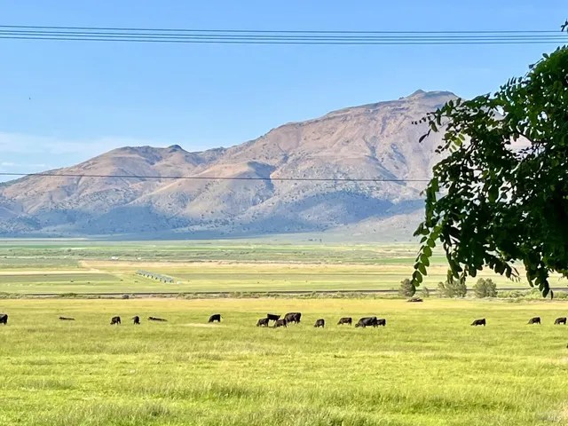 $10,999,999 | 425-940 Constantia Road, Doyle, CA 96109