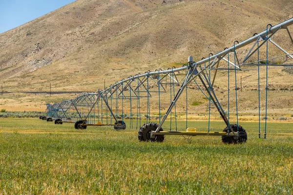 $10,999,999 | 425-940 Constantia Road, Doyle, CA 96109