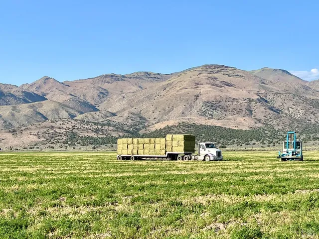 $10,999,999 | 425-940 Constantia Road, Doyle, CA 96109