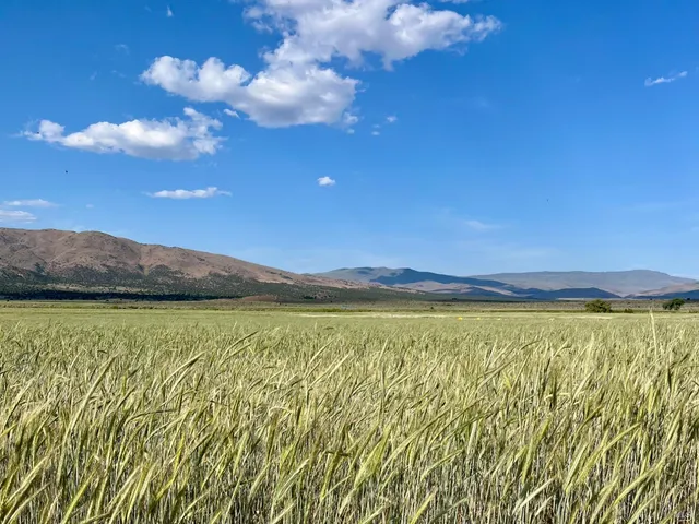 $10,999,999 | 425-940 Constantia Road, Doyle, CA 96109